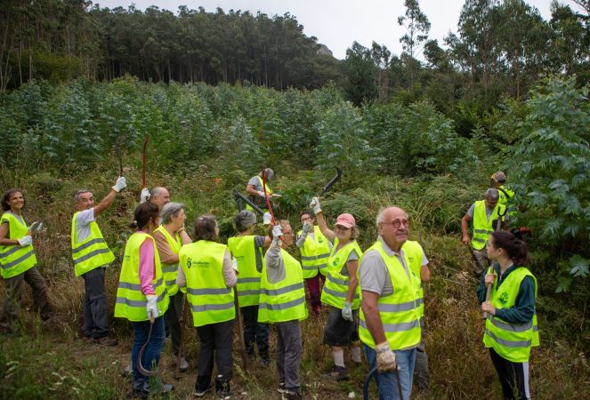 Actividade financiada pola Deputación da Coruña_Proxecto: Recuperación do bosque atlántico na fraga do faroleiro. Actividade:Xornada de deseucaliptación na Fraga do Faroleiro con voluntariado.Participantes 24 persoas. (ASOCIACIÓN FRAGAS DO ORTEGAL)