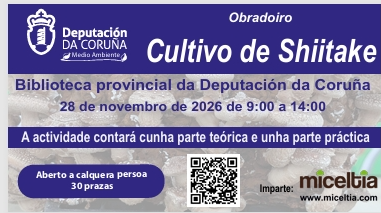 A Deputación leva ao CEIP Sada y sus Contornos un obradoiro que transforma lixo mariño en creación artística