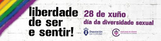 28X, Día da Diversidade Sexual