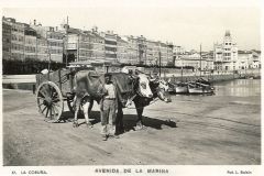 Avenida da Mariña [193-?]