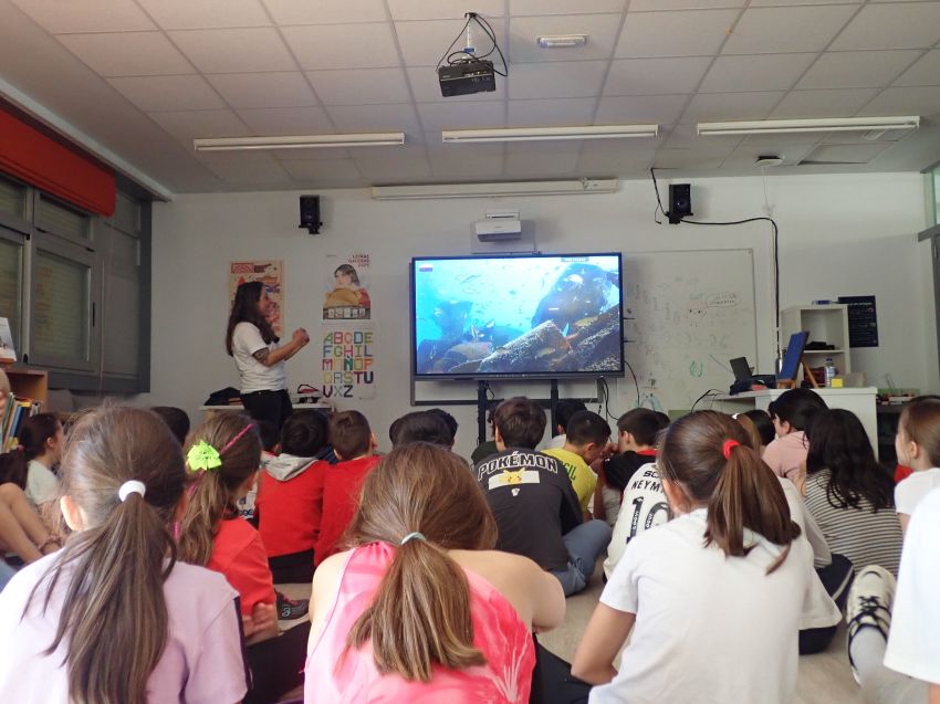 A Deputación da Coruña leva a realidade virtual ás aulas para concienciar a máis de 500 escolares sobre a riqueza do medio mariño galego