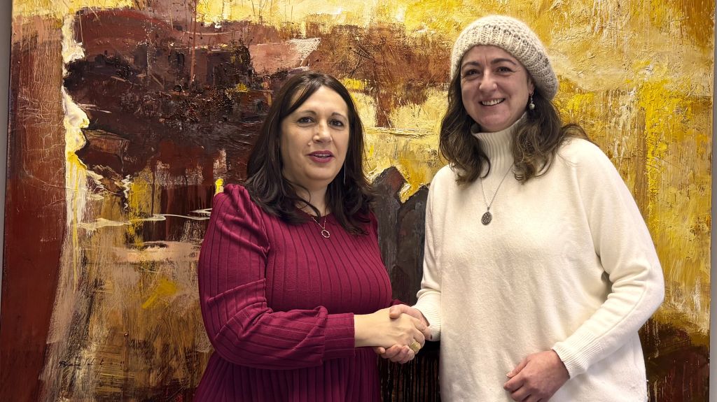 A Deputación achega máis de 13.000 euros para financiar o Ciclo Mestre Mateo 2025