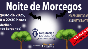 Noite de morcegos