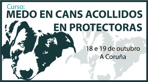 Medo en cans acollidos en protectoras (Cód. 2503-01)