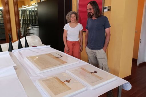 Tàrrega restaura 50 pergamiños dos séculos XIII e XIV custodiados no Arxiu Comarcal