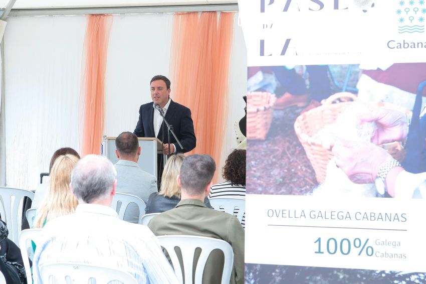 Formoso destaca o potencial da la da ovella galega e aposta por “protexela e exportala” coa Denominación de Orixe