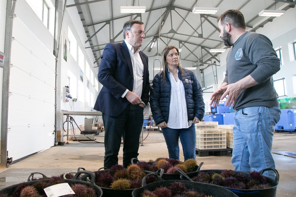 A Deputación da Coruña apoia con 800.000 euros  ás confrarías de pescadores e agrupacións de mariscadoras da provincia