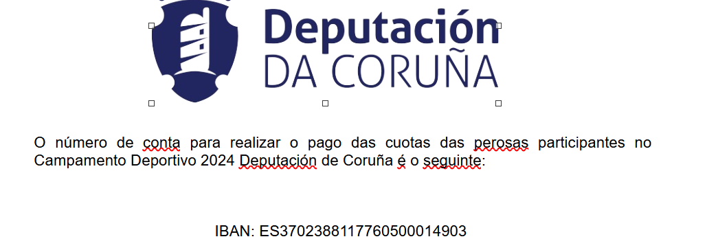 Número de conta Campamento de Verán 2024